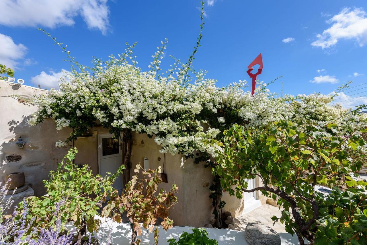 The Olive Mill Guest House Lefkes  Екстер'єр фото